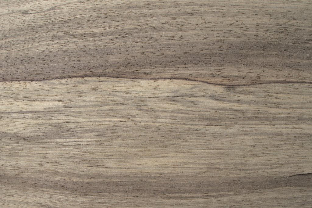 limba czarna